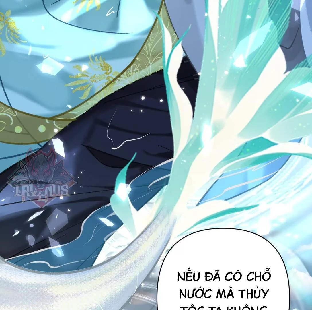Đông Hải Tìm Mỹ Nhân Chapter 51 - Trang 2