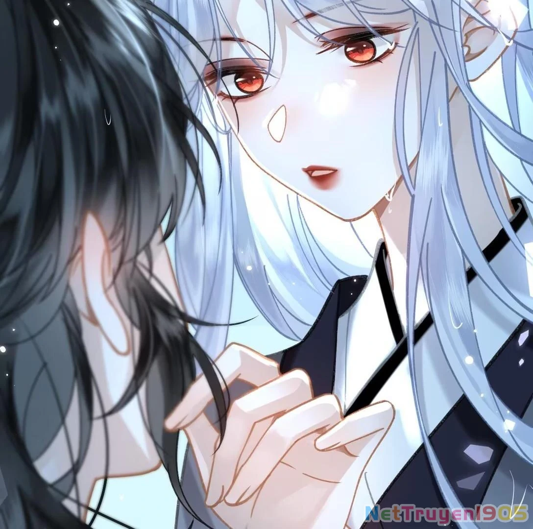 Đông Hải Tìm Mỹ Nhân Chapter 51 - Trang 2