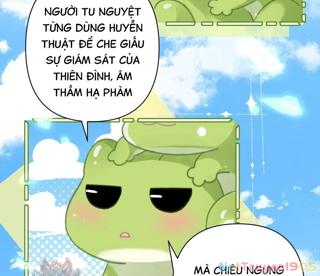 Đông Hải Tìm Mỹ Nhân Chapter 51 - Trang 2
