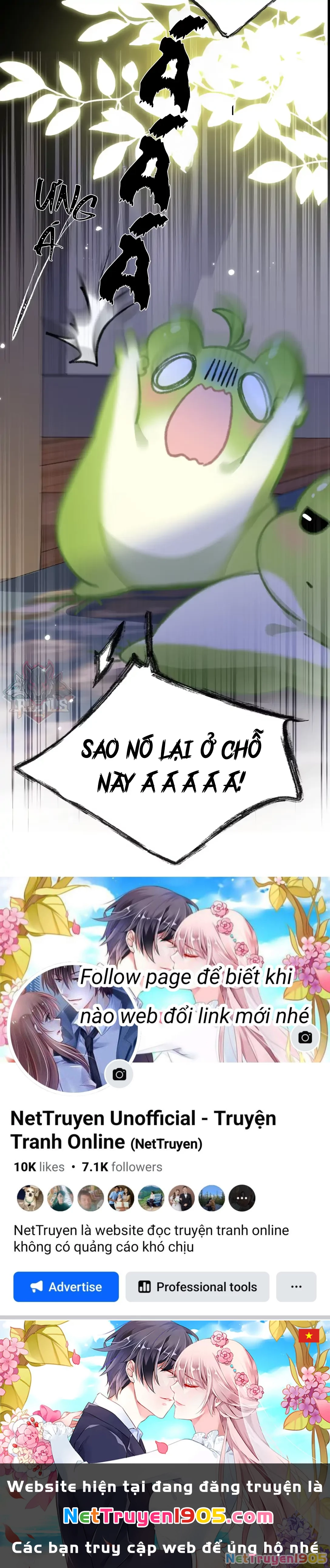 Đông Hải Tìm Mỹ Nhân Chapter 51 - Trang 2