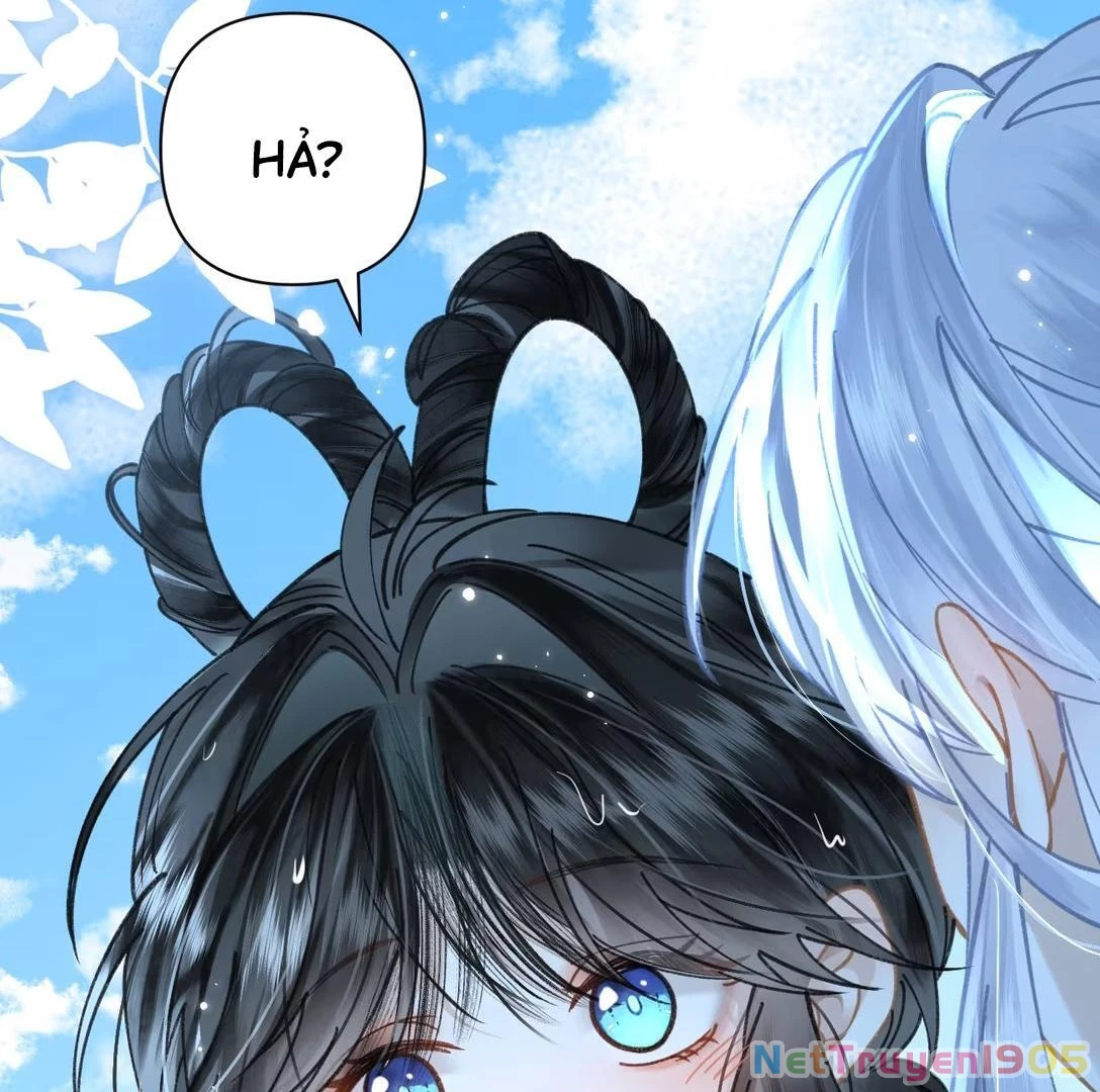 Đông Hải Tìm Mỹ Nhân Chapter 51 - Trang 2