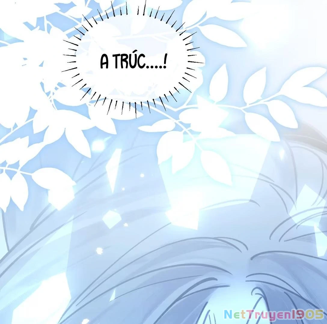 Đông Hải Tìm Mỹ Nhân Chapter 51 - Trang 2