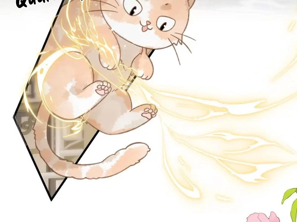 Đông Hải Tìm Mỹ Nhân Chapter 52 - Trang 2