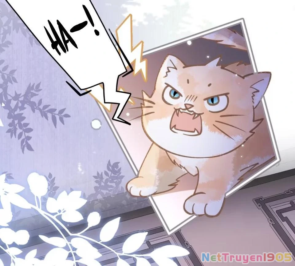 Đông Hải Tìm Mỹ Nhân Chapter 52 - Trang 2