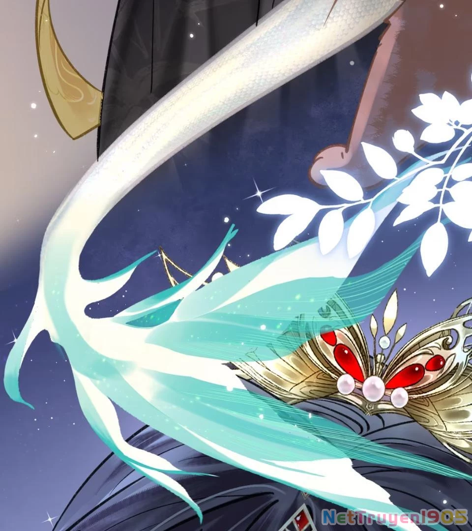 Đông Hải Tìm Mỹ Nhân Chapter 52 - Trang 2