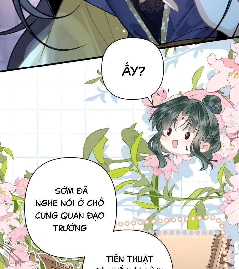 Đông Hải Tìm Mỹ Nhân Chapter 52 - Trang 2