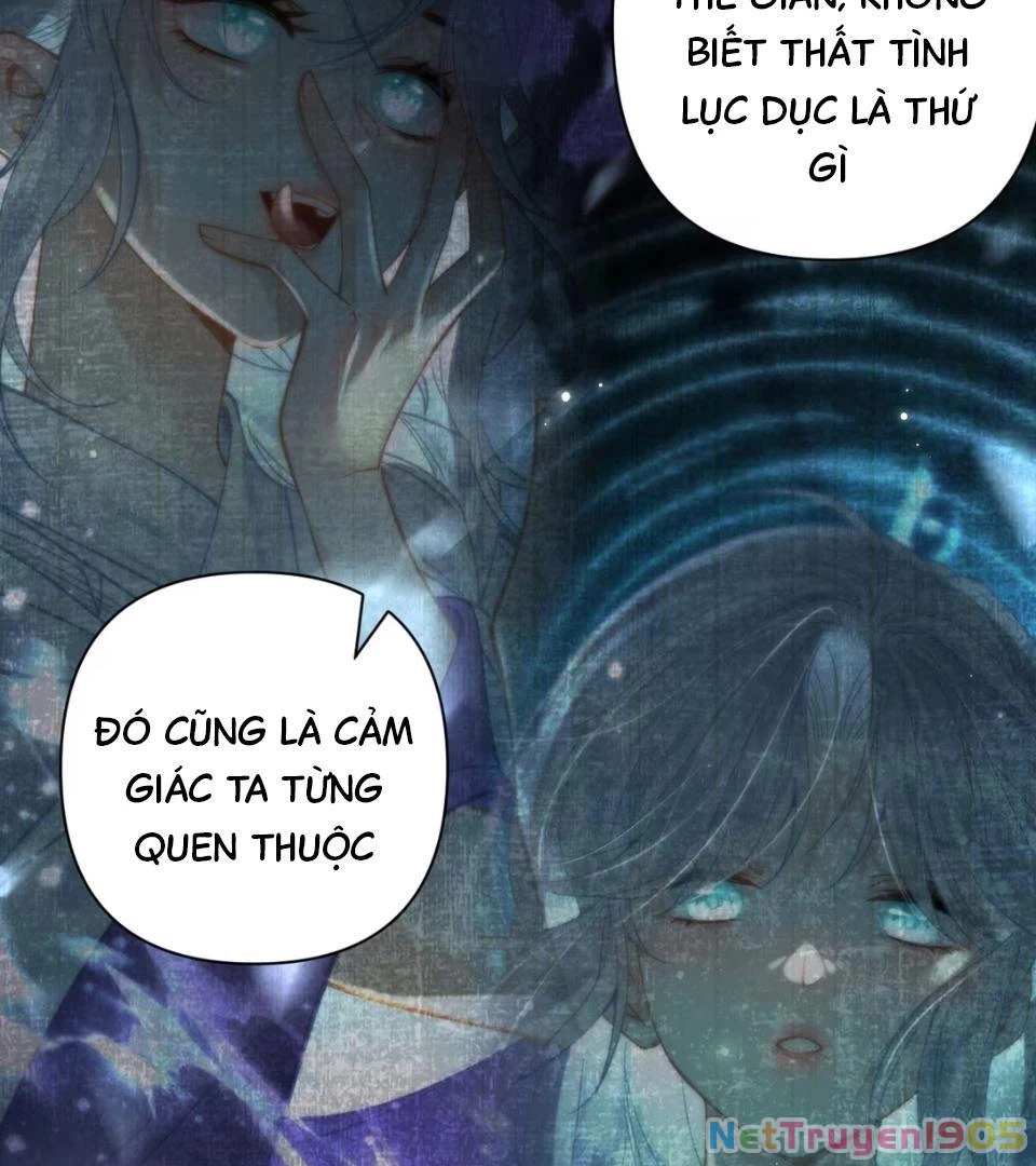Đông Hải Tìm Mỹ Nhân Chapter 52 - Trang 2