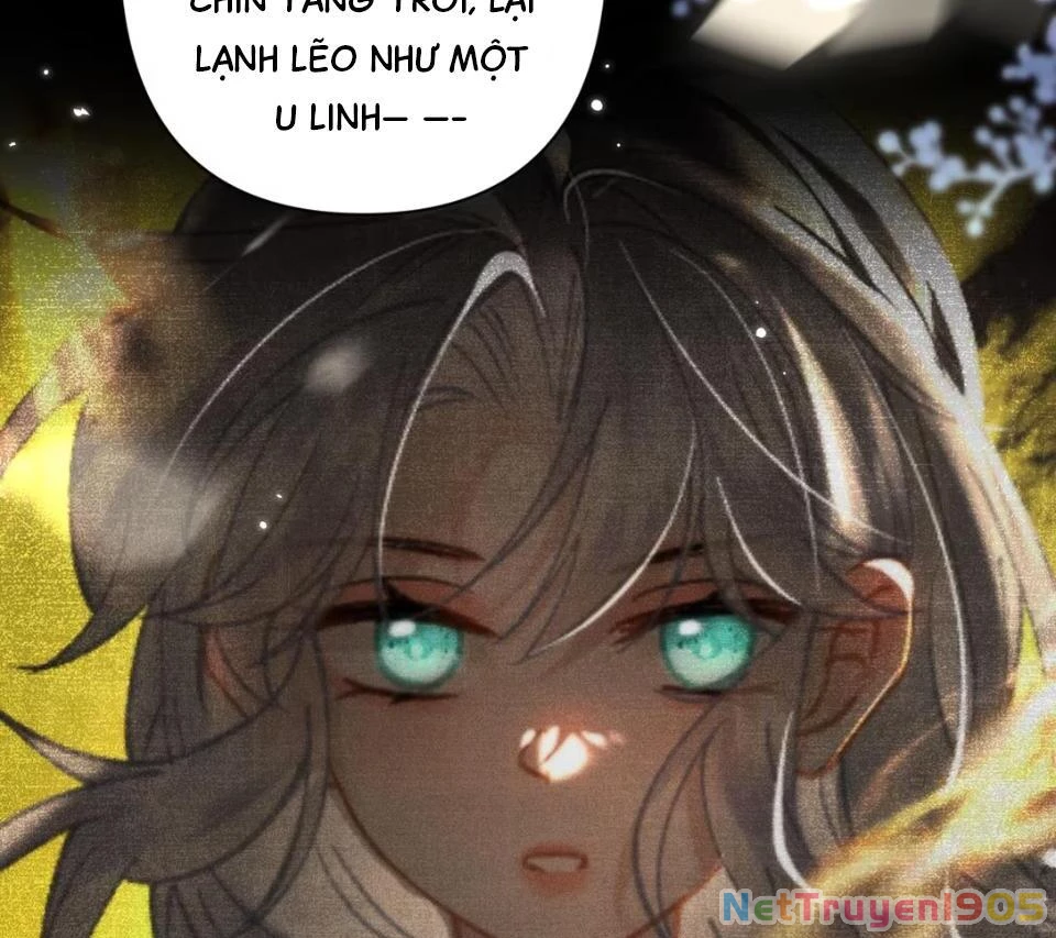 Đông Hải Tìm Mỹ Nhân Chapter 52 - Trang 2
