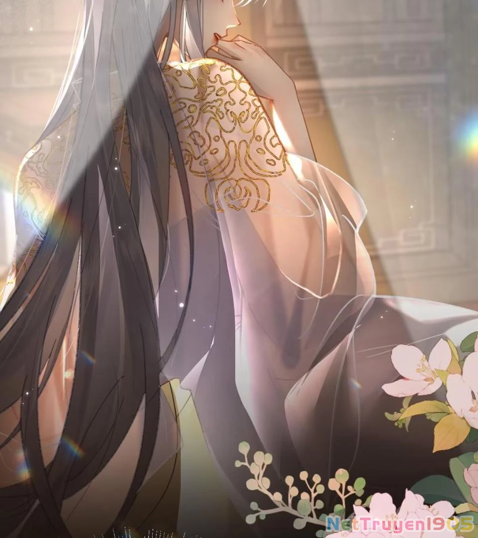 Đông Hải Tìm Mỹ Nhân Chapter 53 - Trang 2