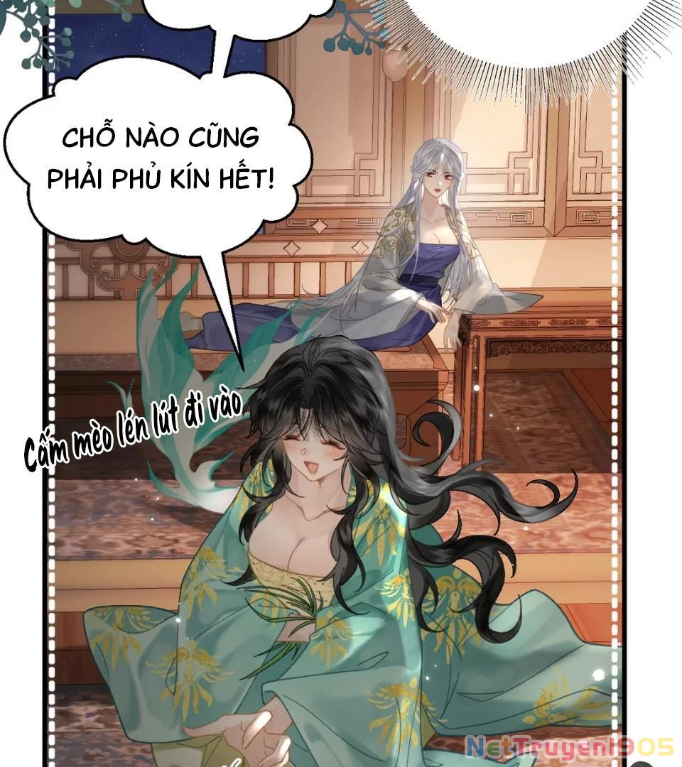 Đông Hải Tìm Mỹ Nhân Chapter 53 - Trang 2