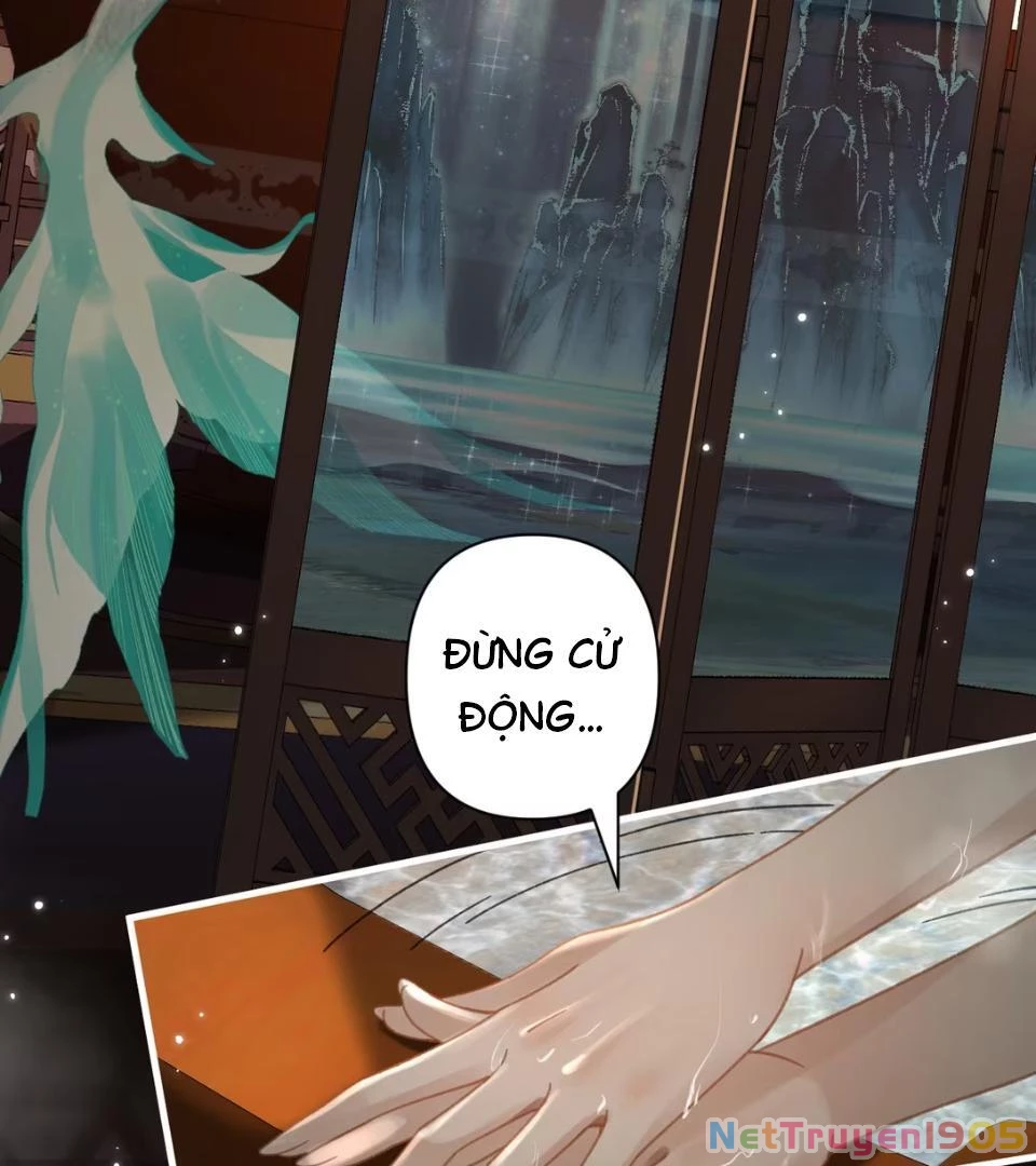 Đông Hải Tìm Mỹ Nhân Chapter 53 - Trang 2