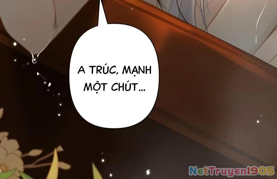 Đông Hải Tìm Mỹ Nhân Chapter 53 - Trang 2