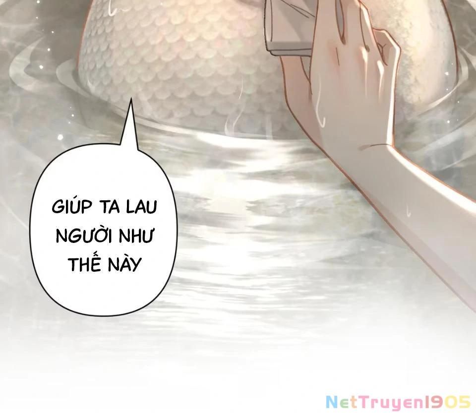 Đông Hải Tìm Mỹ Nhân Chapter 53 - Trang 2