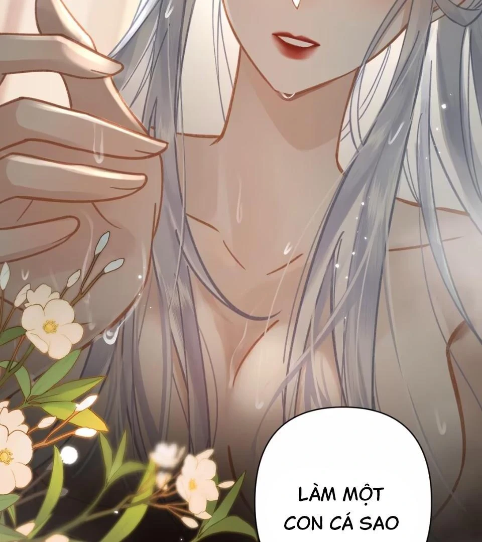 Đông Hải Tìm Mỹ Nhân Chapter 53 - Trang 2