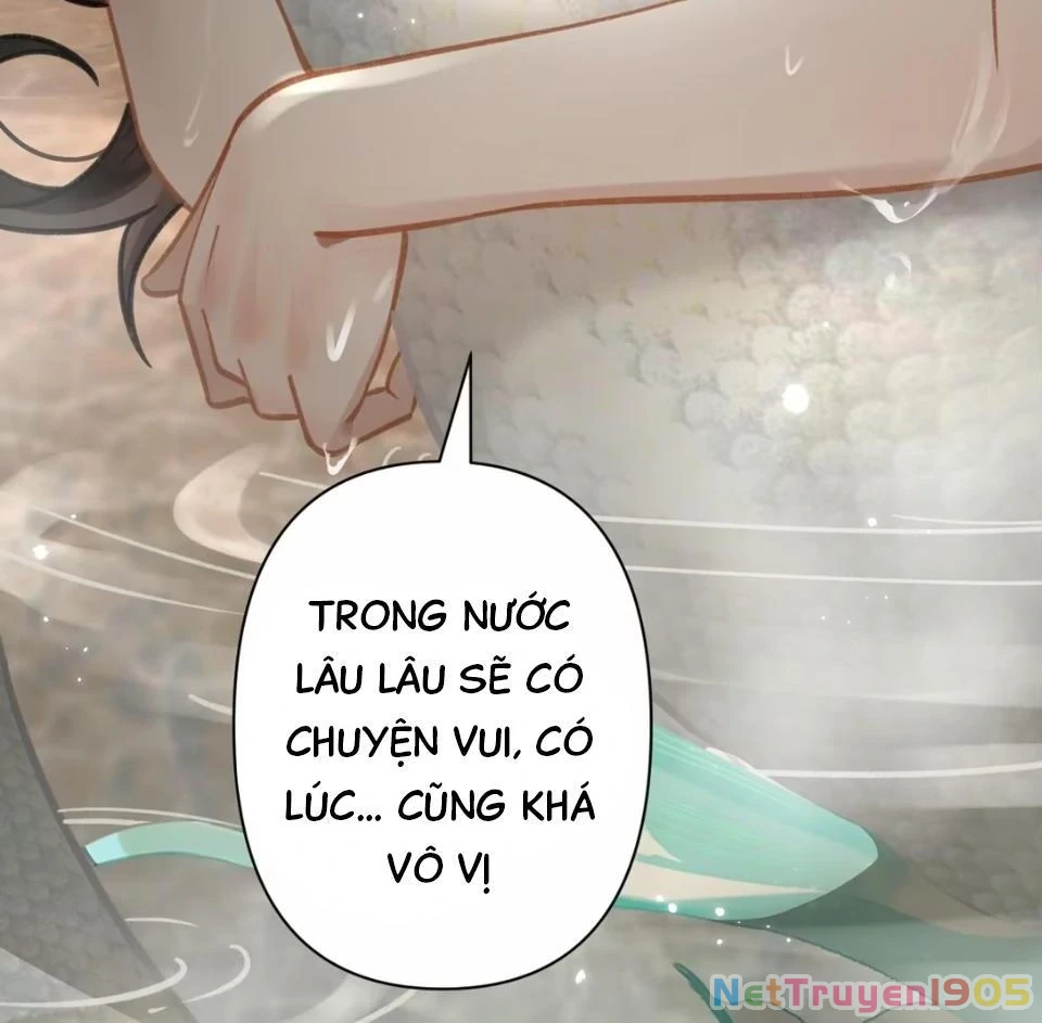 Đông Hải Tìm Mỹ Nhân Chapter 53 - Trang 2