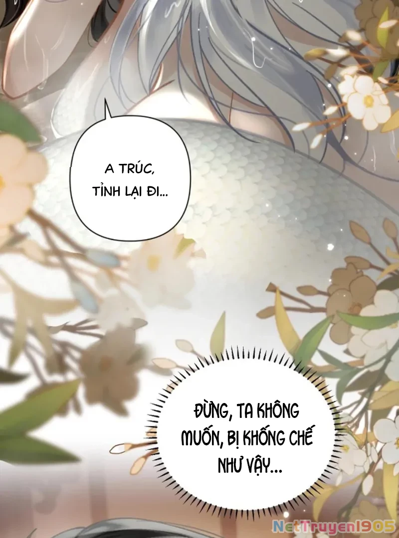 Đông Hải Tìm Mỹ Nhân Chapter 54 - Trang 2