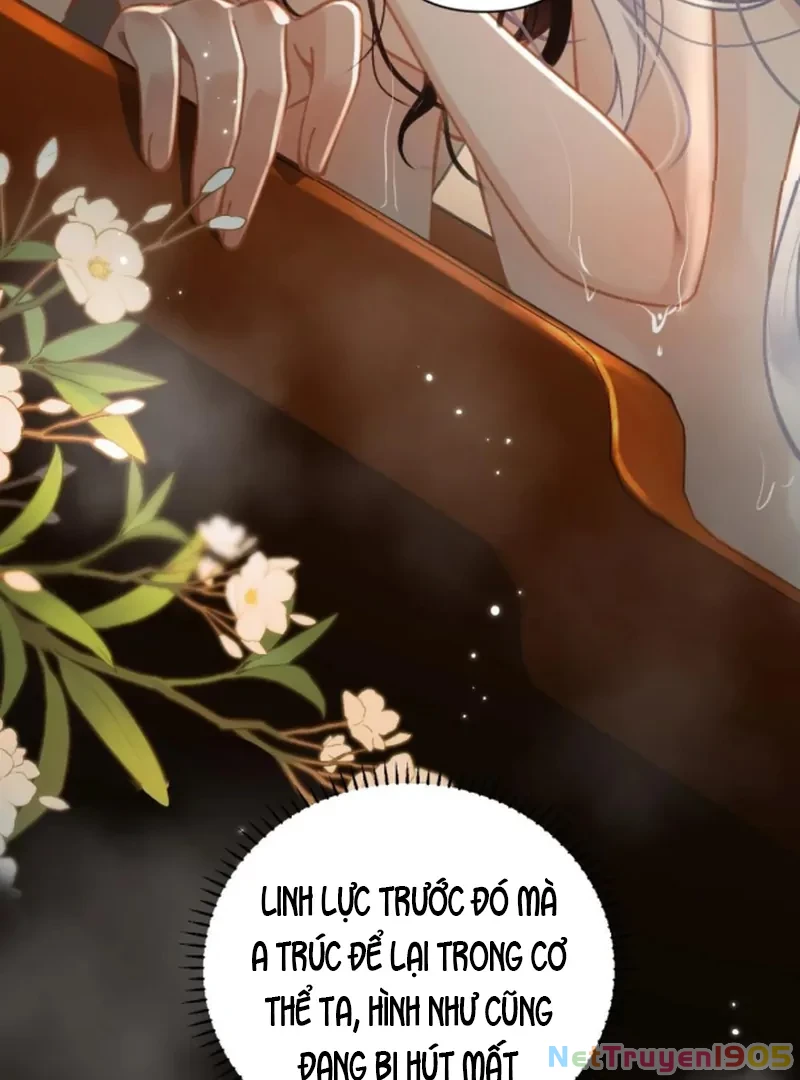 Đông Hải Tìm Mỹ Nhân Chapter 54 - Trang 2