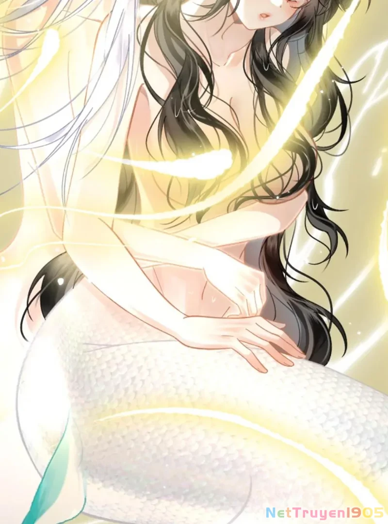 Đông Hải Tìm Mỹ Nhân Chapter 54 - Trang 2