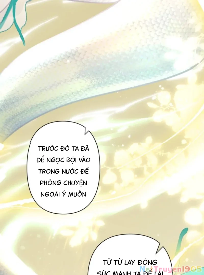 Đông Hải Tìm Mỹ Nhân Chapter 54 - Trang 2