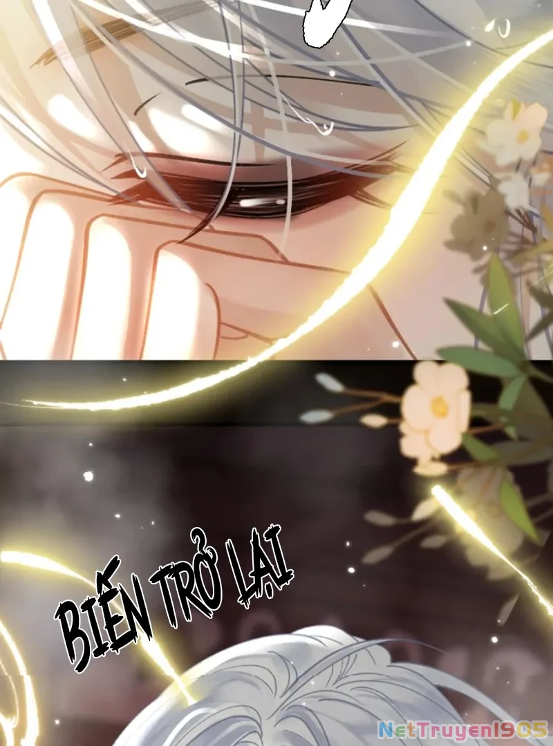 Đông Hải Tìm Mỹ Nhân Chapter 54 - Trang 2