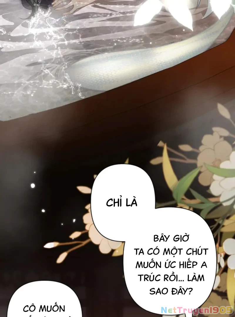 Đông Hải Tìm Mỹ Nhân Chapter 54 - Trang 2