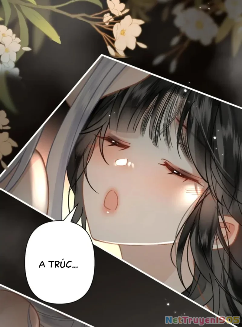 Đông Hải Tìm Mỹ Nhân Chapter 54 - Trang 2