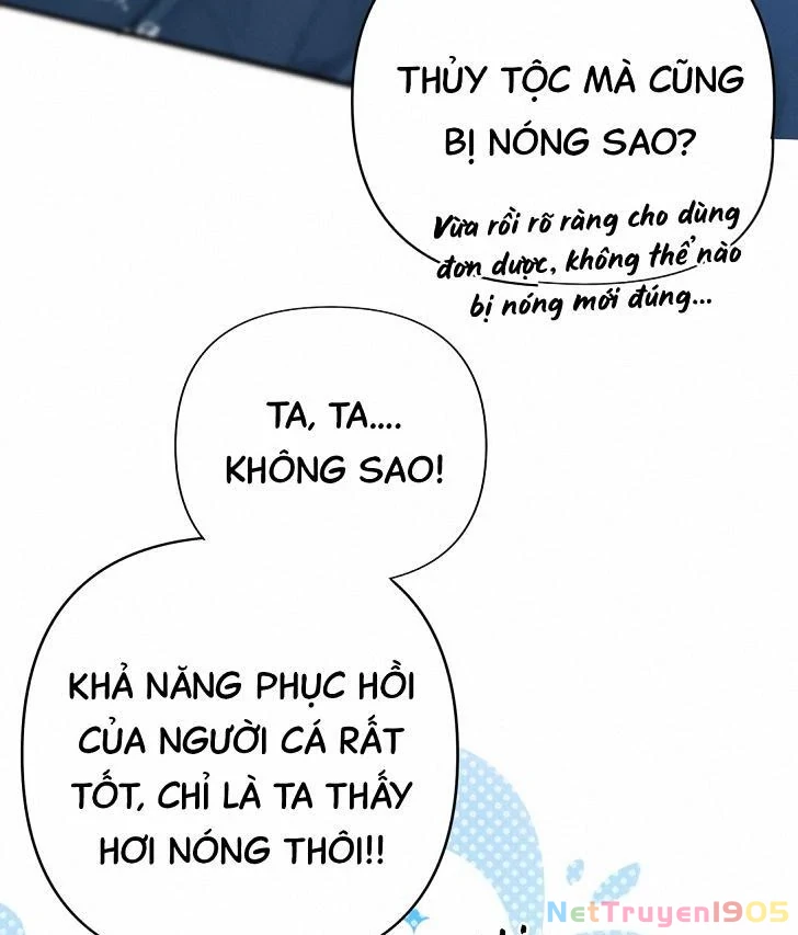 Đông Hải Tìm Mỹ Nhân Chapter 6 - Trang 2