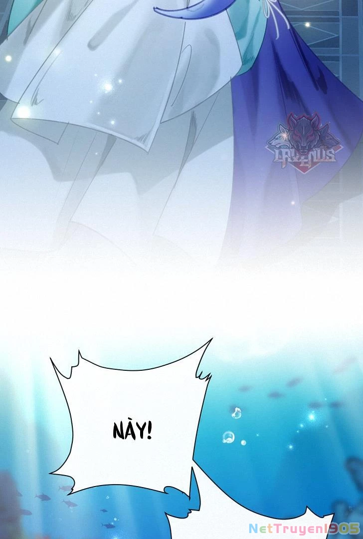 Đông Hải Tìm Mỹ Nhân Chapter 7 - Trang 2