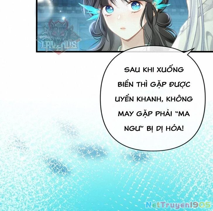 Đông Hải Tìm Mỹ Nhân Chapter 7 - Trang 2