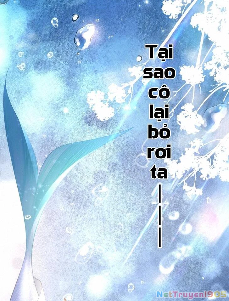 Đông Hải Tìm Mỹ Nhân Chapter 7 - Trang 2