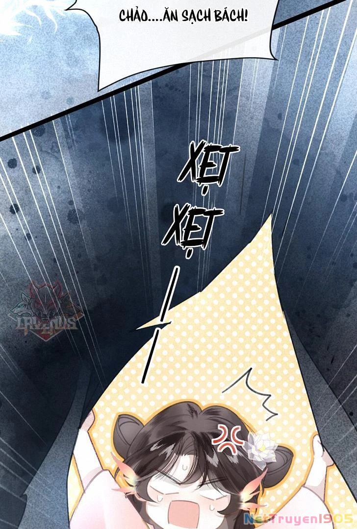 Đông Hải Tìm Mỹ Nhân Chapter 7 - Trang 2