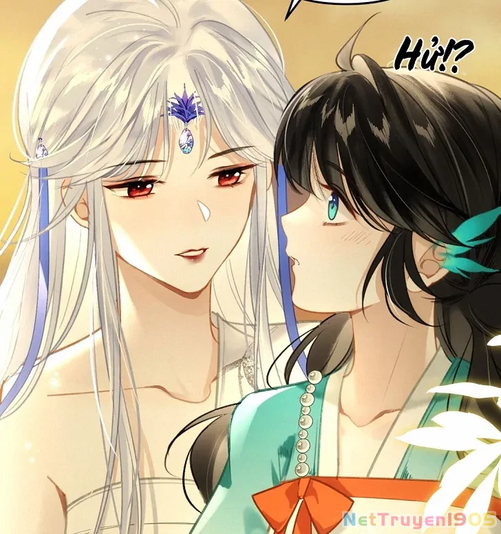 Đông Hải Tìm Mỹ Nhân Chapter 8 - Trang 2