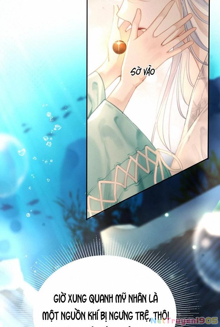 Đông Hải Tìm Mỹ Nhân Chapter 8 - Trang 2