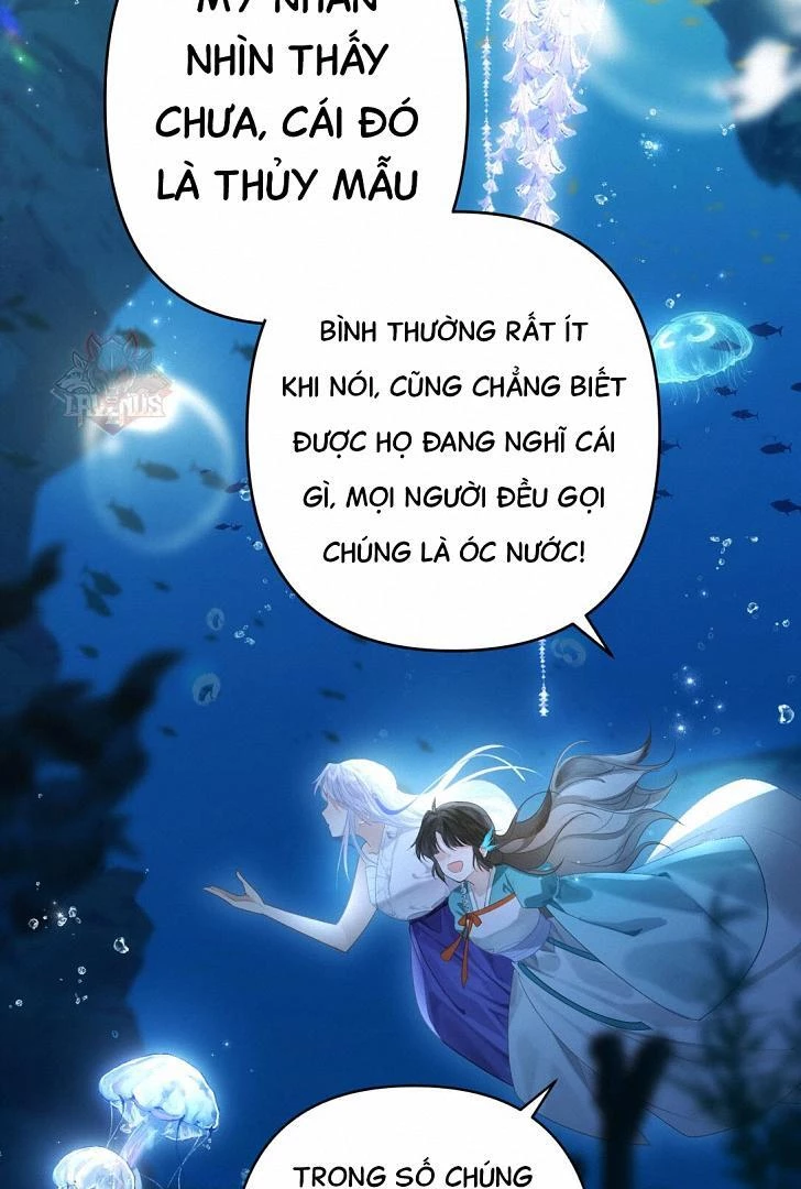 Đông Hải Tìm Mỹ Nhân Chapter 8 - Trang 2