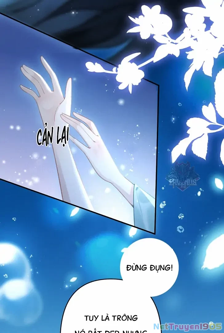 Đông Hải Tìm Mỹ Nhân Chapter 8 - Trang 2