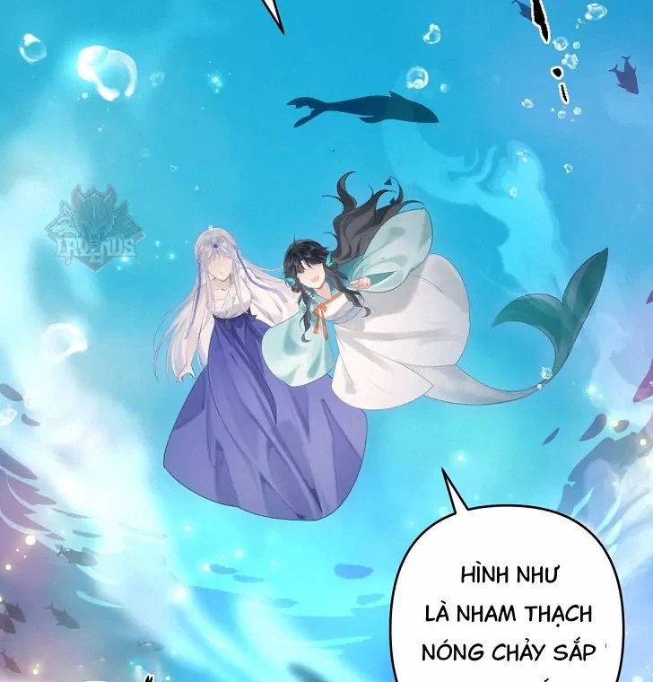 Đông Hải Tìm Mỹ Nhân Chapter 8 - Trang 2