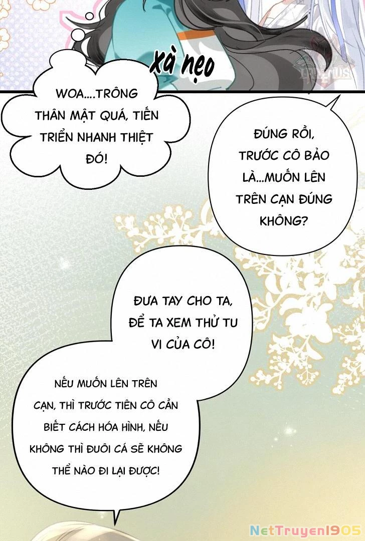 Đông Hải Tìm Mỹ Nhân Chapter 9 - Trang 2