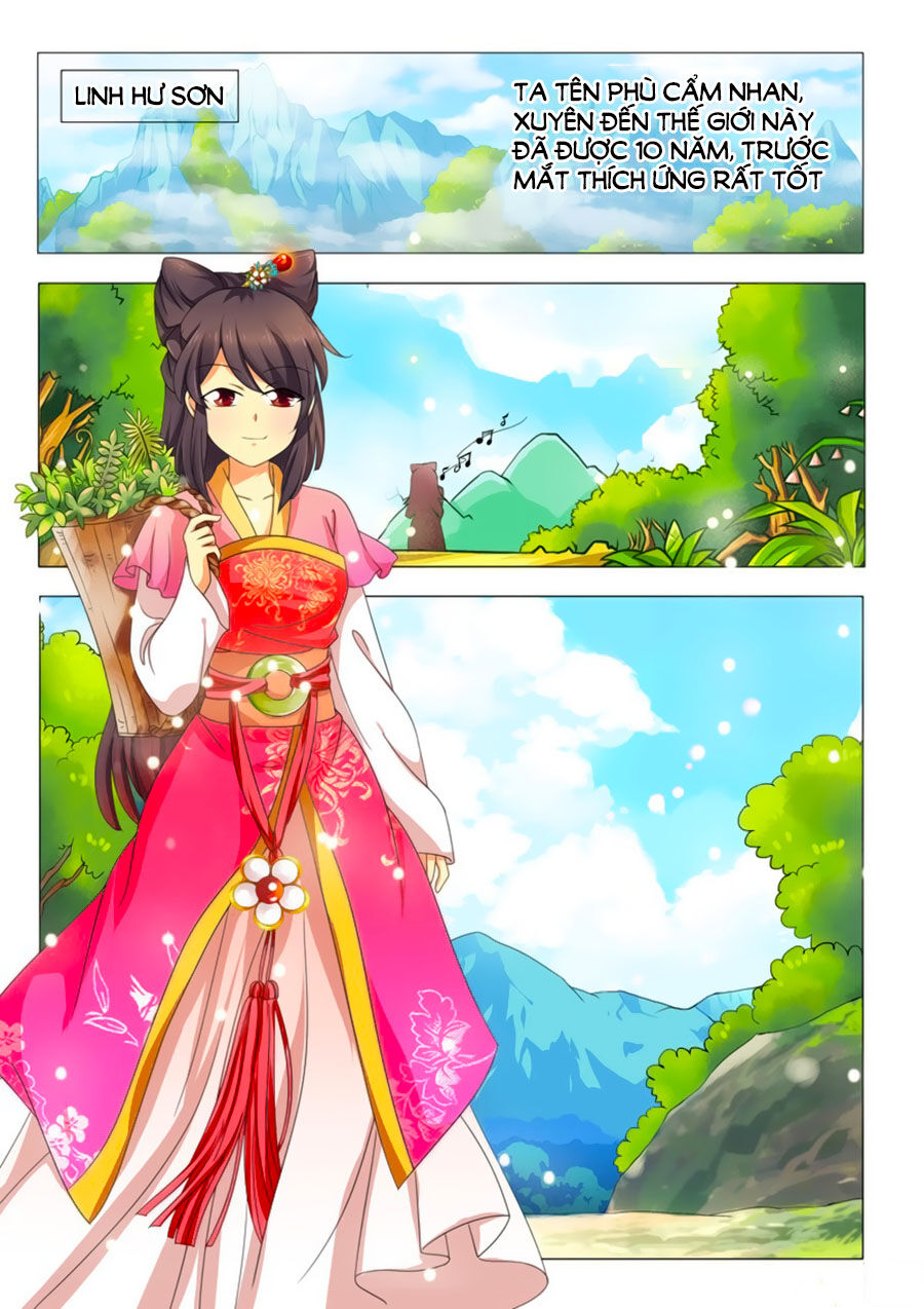 Đống Phù Đã Khai Quang Chapter 1 - Trang 2