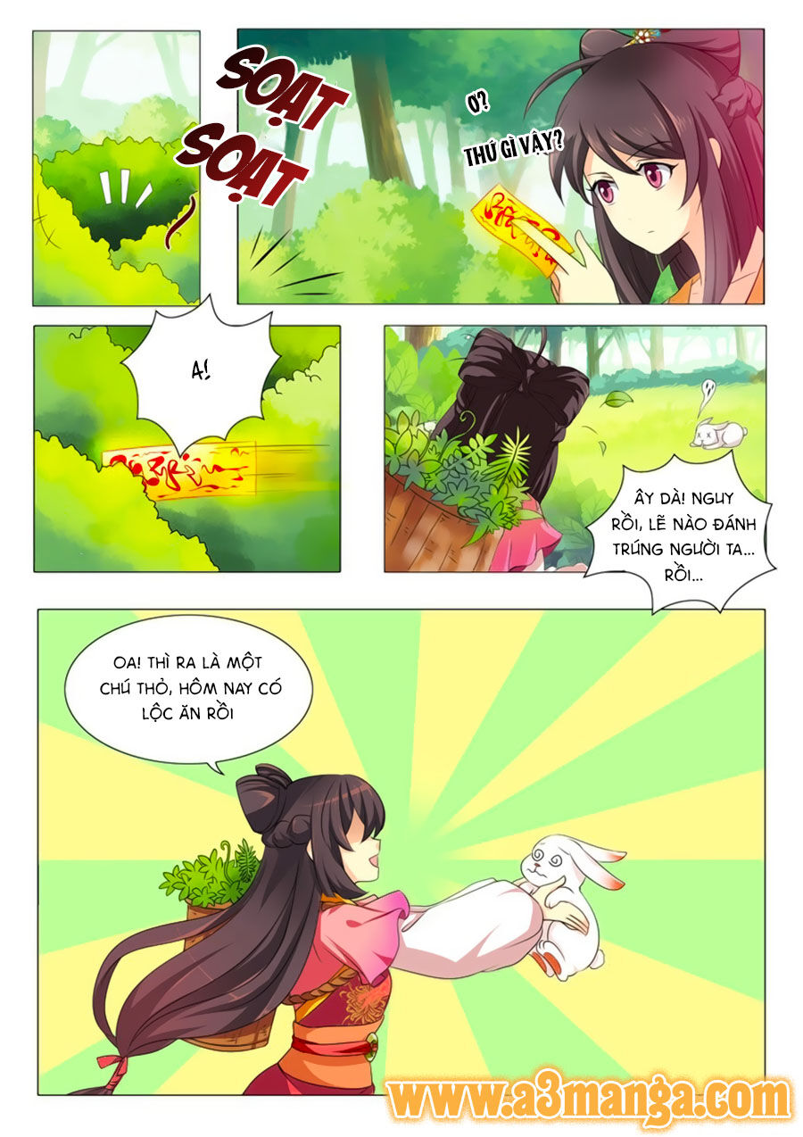 Đống Phù Đã Khai Quang Chapter 1 - Trang 2