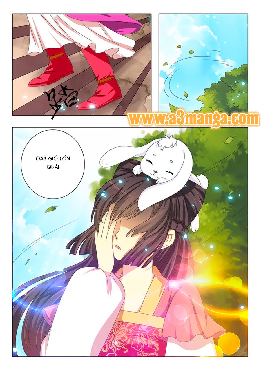 Đống Phù Đã Khai Quang Chapter 15 - Trang 2