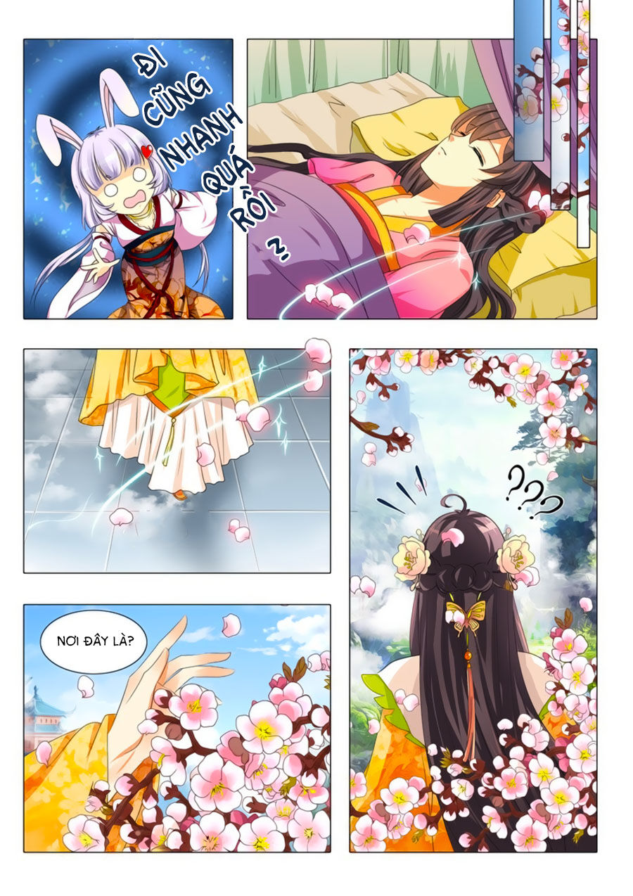 Đống Phù Đã Khai Quang Chapter 3 - Trang 2