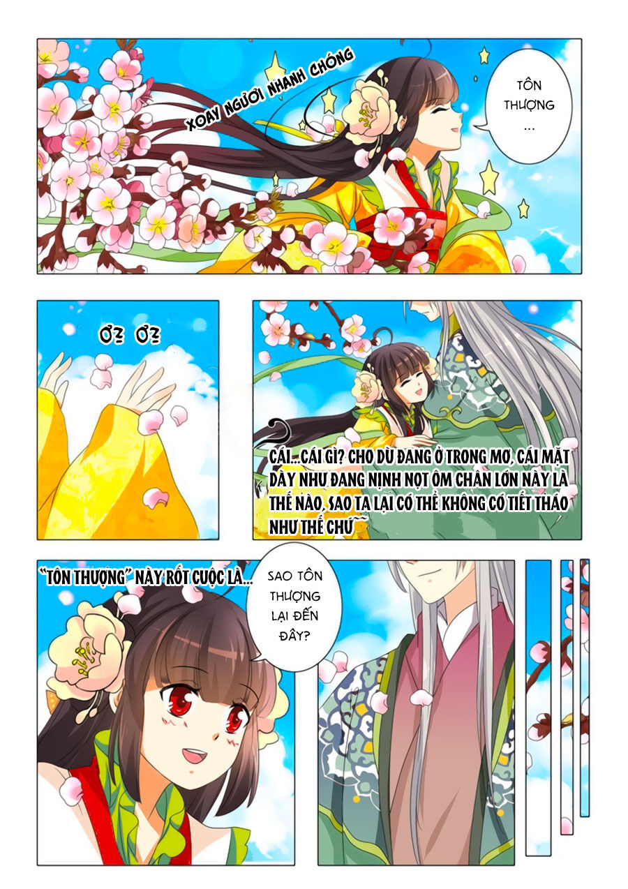 Đống Phù Đã Khai Quang Chapter 3 - Trang 2