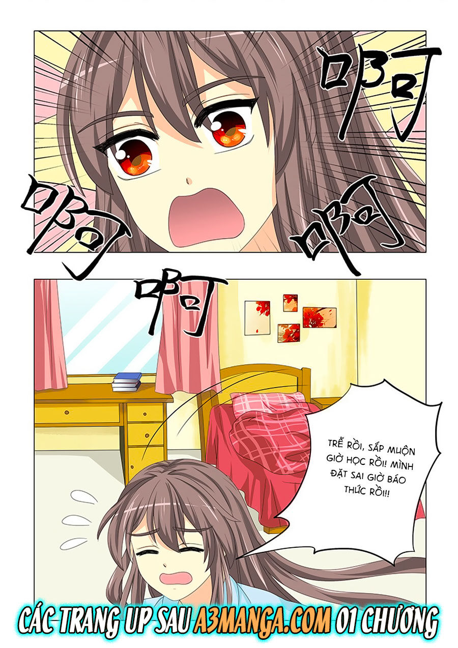 Đống Phù Đã Khai Quang Chapter 30 - Trang 2