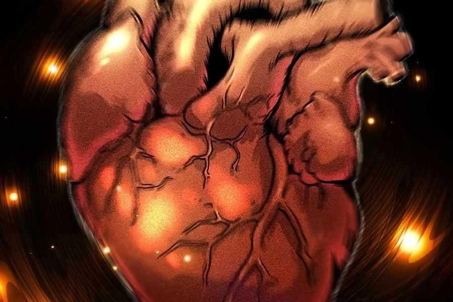 Đông Phương Bất Bại Chapter 5.5 - Trang 2