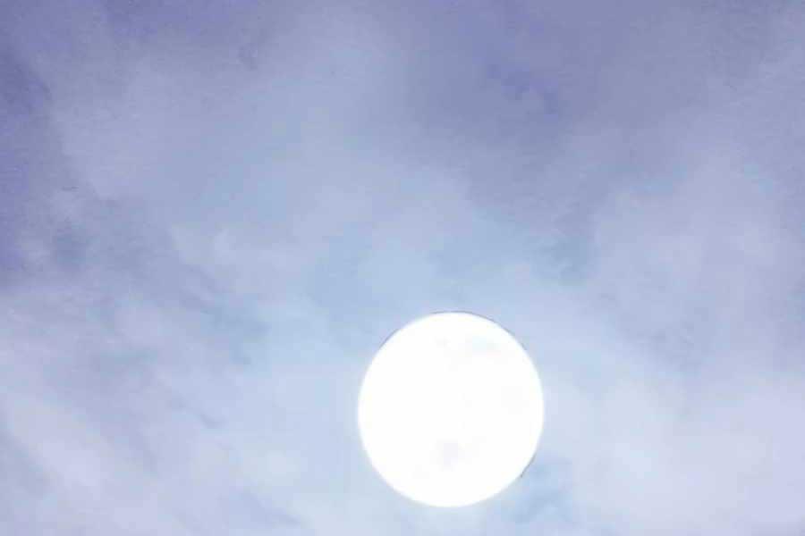 Đông Phương Bất Bại Chapter 5.5 - Trang 2