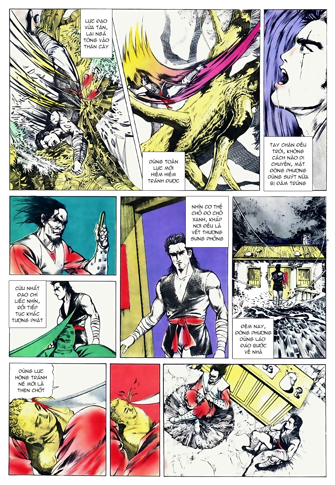 Đông Phương Bất Bại Chapter 8 - Trang 2