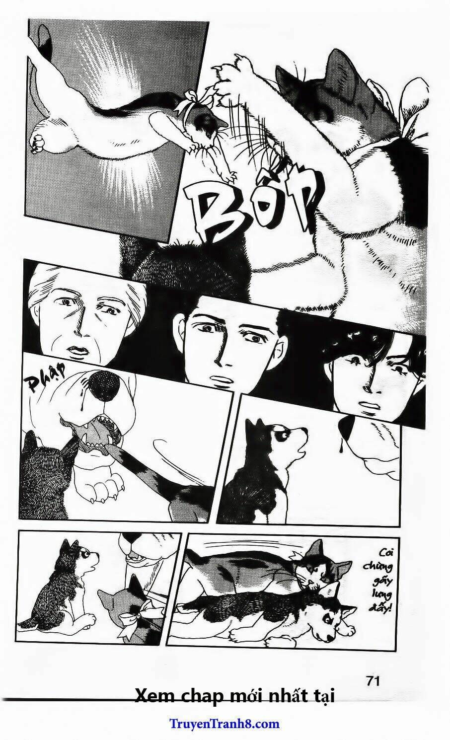 Doubutsu No Oishasan Chapter 26 - Trang 2