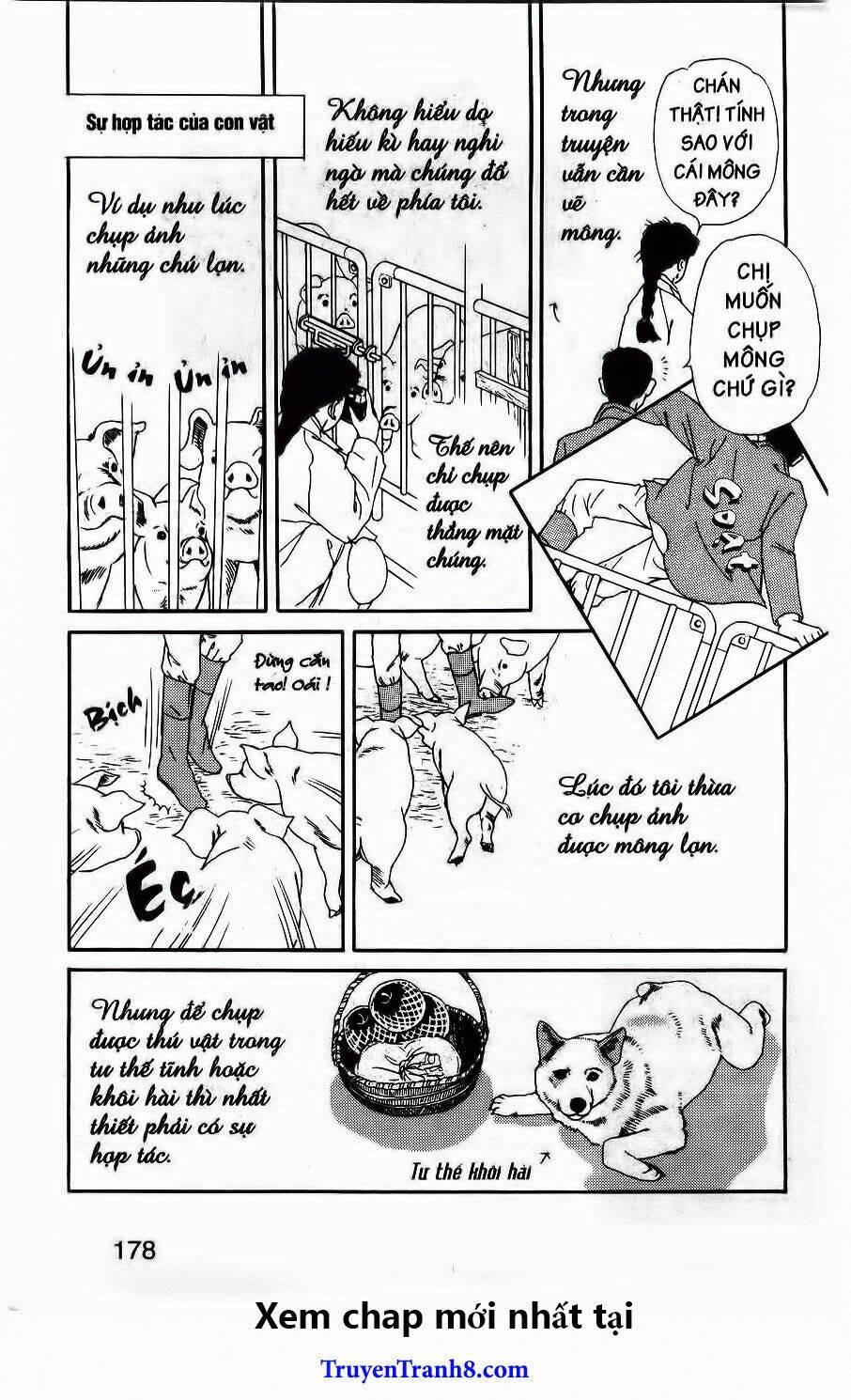 Doubutsu No Oishasan Chapter 32 - Trang 2