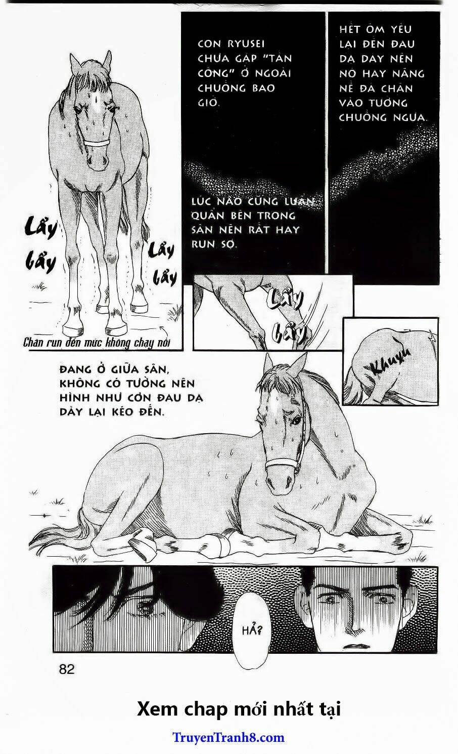 Doubutsu No Oishasan Chapter 37 - Trang 2