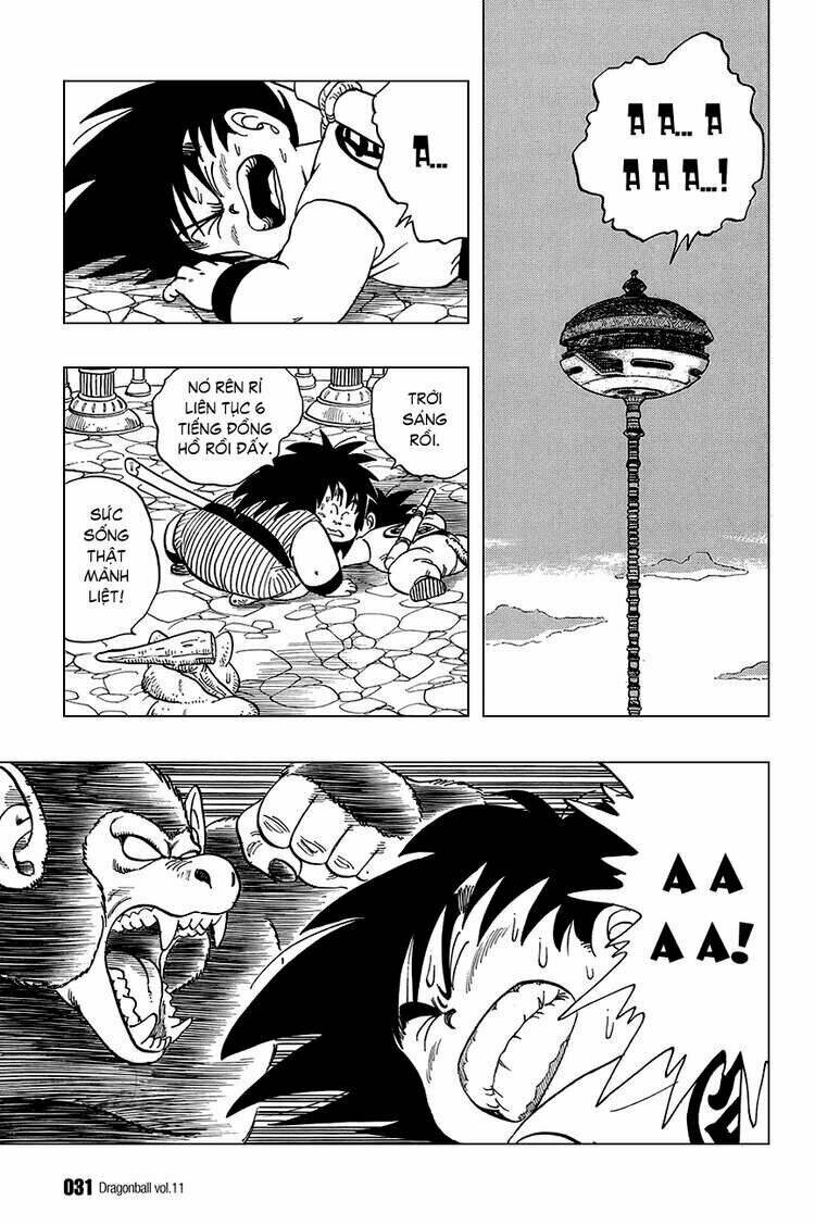 Dragon Ball – Bảy Viên Ngọc Rồng Chapter 151 - Trang 2